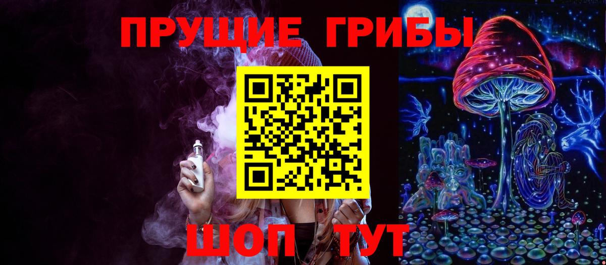 Электрогорск  Псилоцибиновые грибы Cubensis  Вход с VPN 