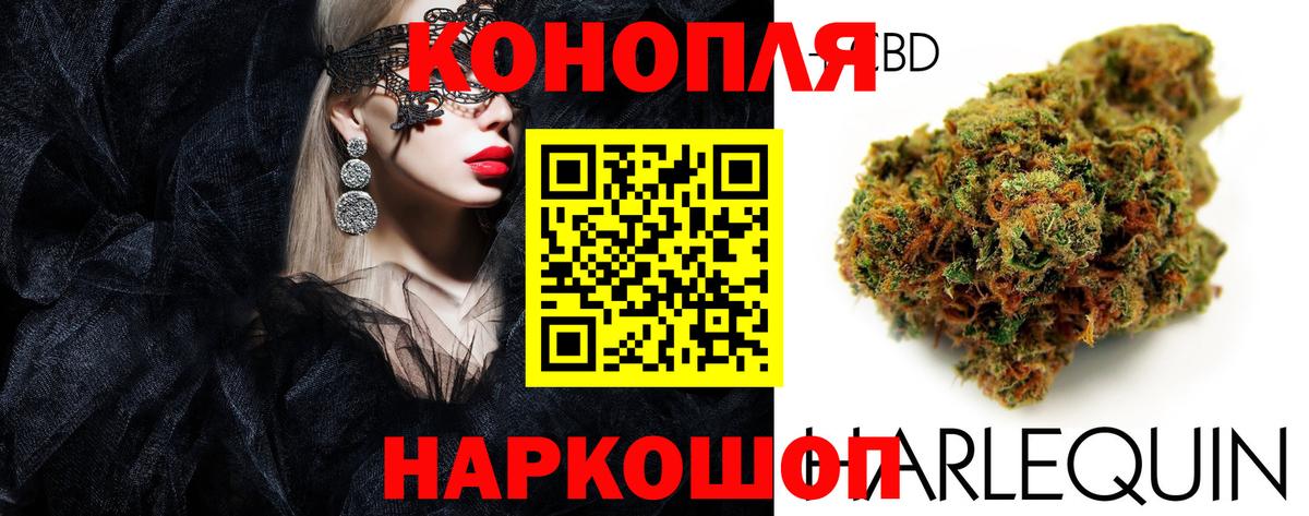 Каннабис SATIVA & INDICA Электрогорск